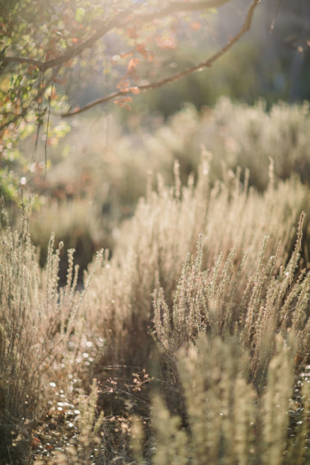 Wandering Rustic Lake Cuddles – Photo by Let's Frolic Together