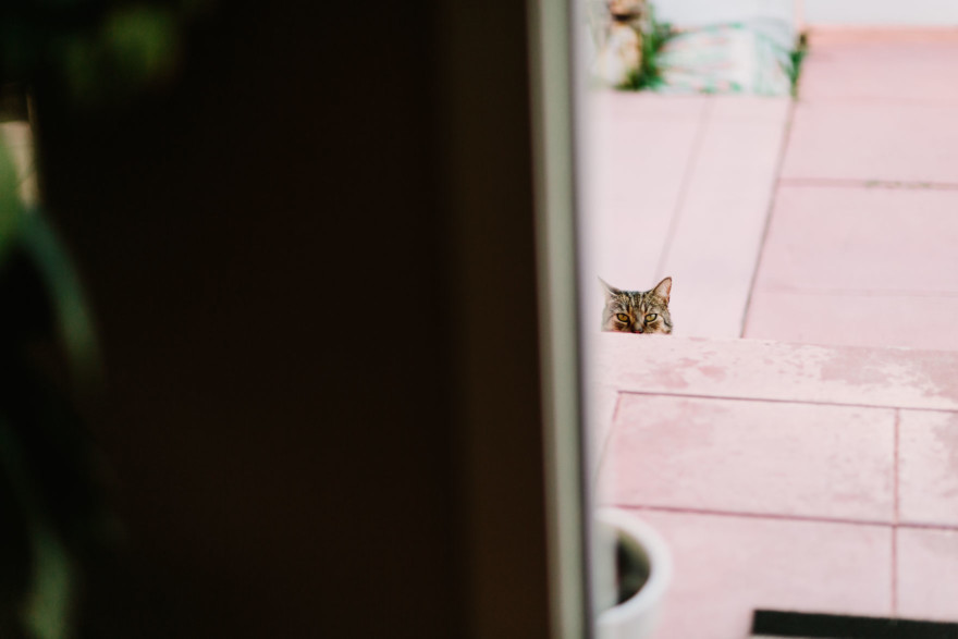Cuddly and silly at-home engagement – Photo by Let's Frolic Together
