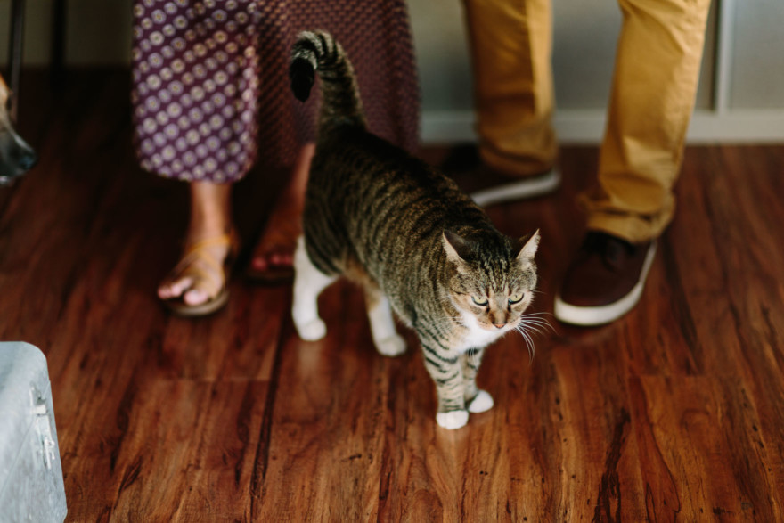Cuddly and silly at-home engagement – Photo by Let's Frolic Together