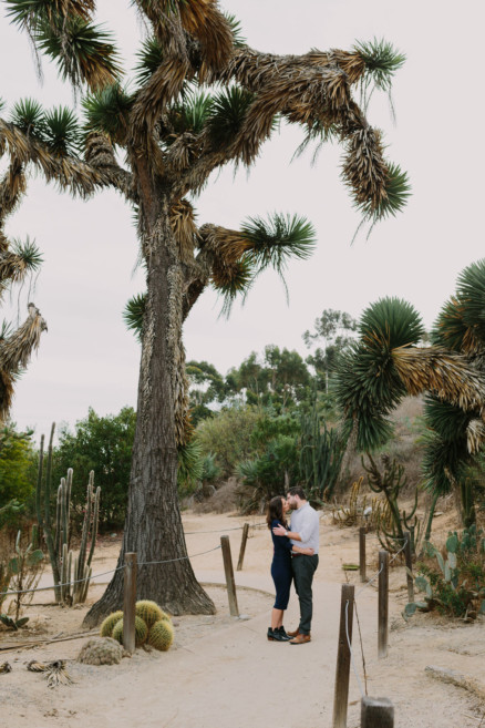 Cactus Snuggles and Silliness – Photo by Let's Frolic Together