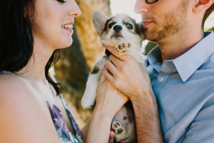 It’s Raining Cats and Dogs! – Photo by Let's Frolic Together