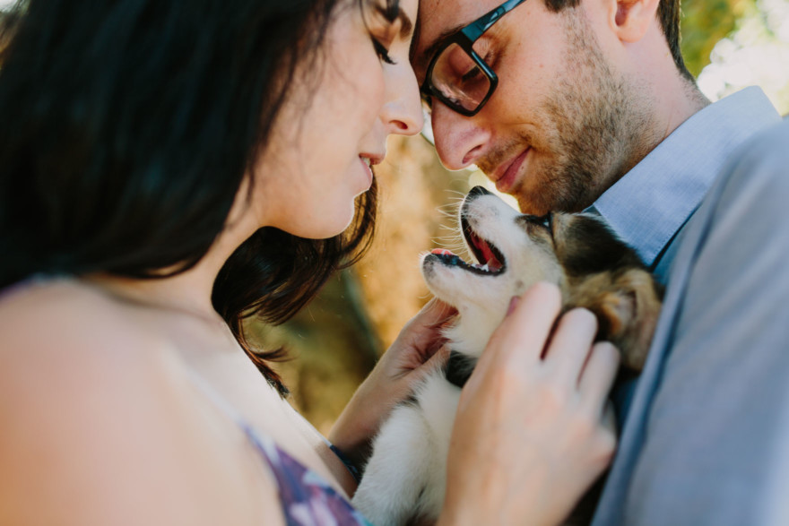It’s Raining Cats and Dogs! – Photo by Let's Frolic Together