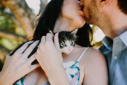 It’s Raining Cats and Dogs! – Photo by Let's Frolic Together