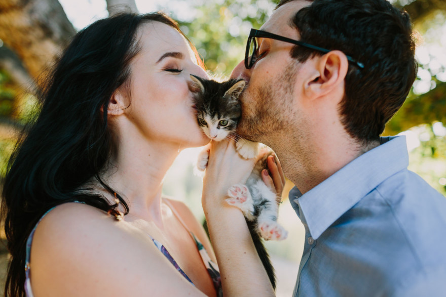 It’s Raining Cats and Dogs! – Photo by Let's Frolic Together