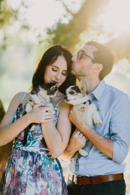 It’s Raining Cats and Dogs! – Photo by Let's Frolic Together