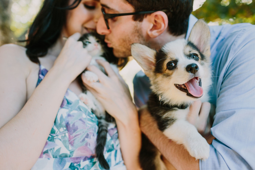 It’s Raining Cats and Dogs! – Photo by Let's Frolic Together