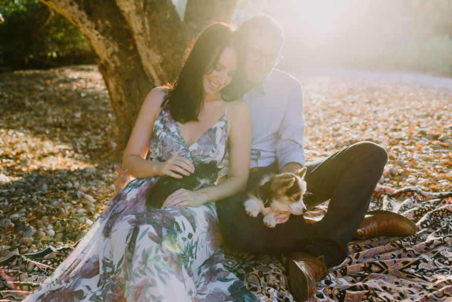 It’s Raining Cats and Dogs! – Photo by Let's Frolic Together