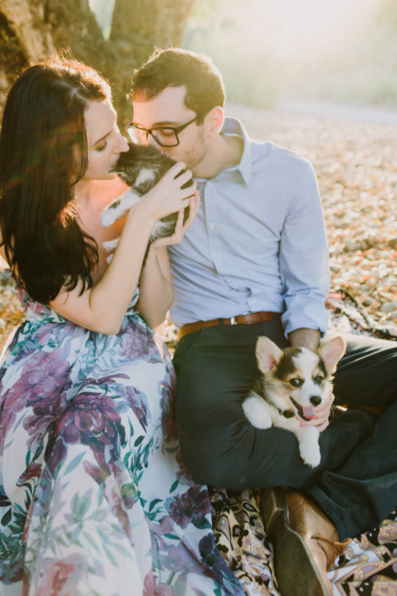 It’s Raining Cats and Dogs! – Photo by Let's Frolic Together