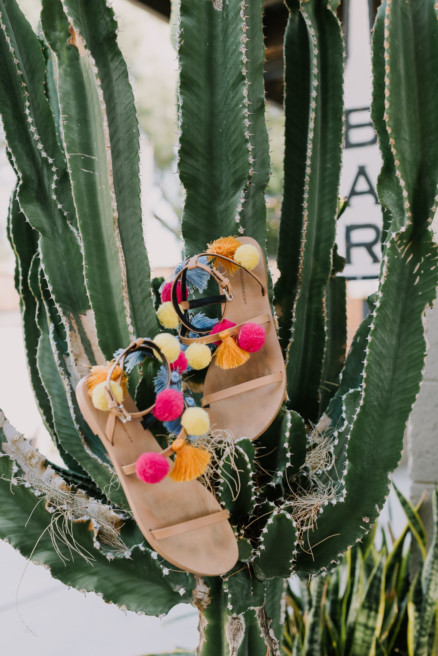Lautner Compound Desert Bash – Photo by Let's Frolic Together