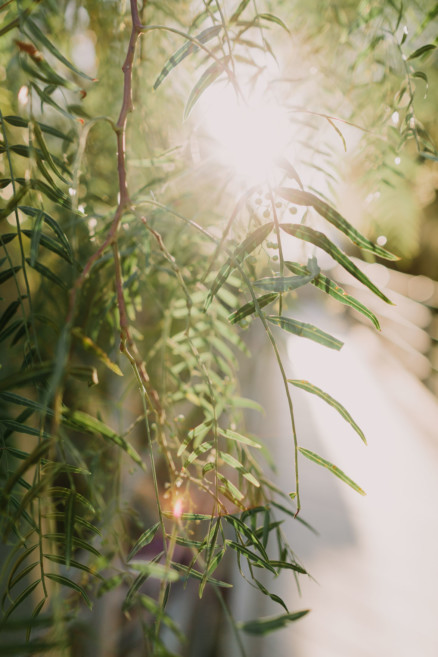 Romantic San Diego Snugglefest – Photo by Let's Frolic Together