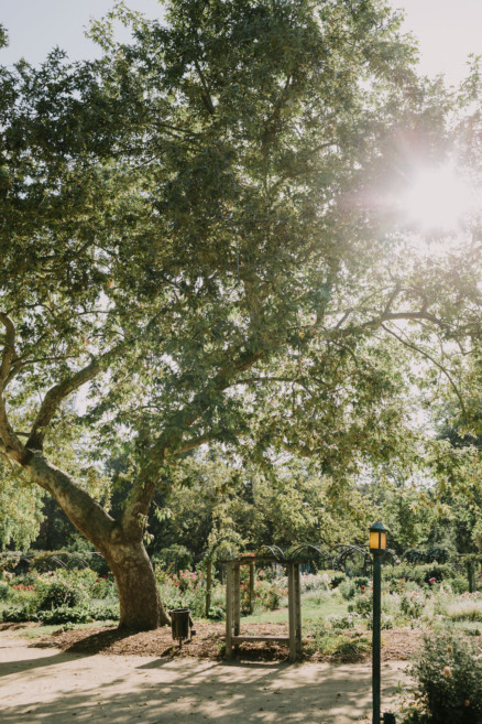 Descanso Gardens Wedding Magic – Photo by Let's Frolic Together