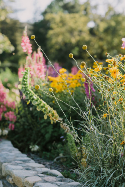 Descanso Gardens Wedding Magic – Photo by Let's Frolic Together