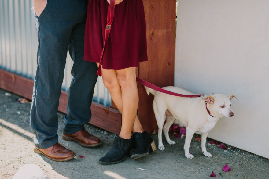 Silly Snuggles at Polite Provisions – Photo by Let's Frolic Together