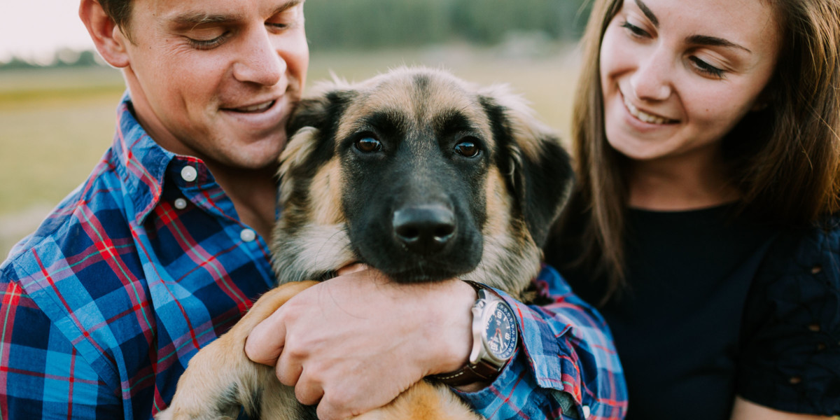 Mountain Fun With A Playful Pup – Photo by Let's Frolic Together