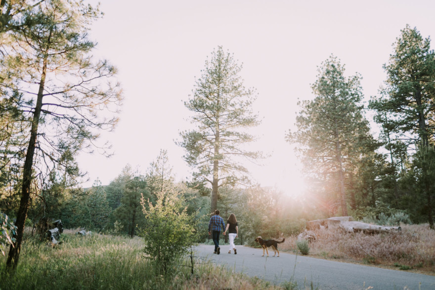 Mountain Fun With A Playful Pup – Photo by Let's Frolic Together