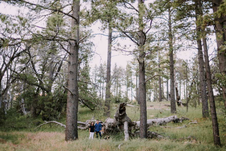 Mountain Fun With A Playful Pup – Photo by Let's Frolic Together