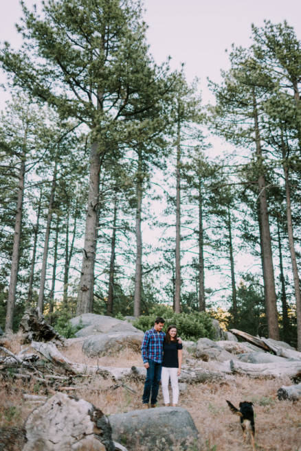 Mountain Fun With A Playful Pup – Photo by Let's Frolic Together