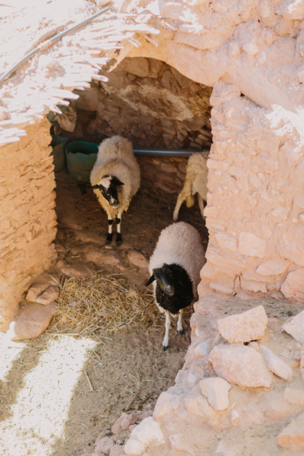 Moroccan Deserts & Mountains – Photo by Let's Frolic Together