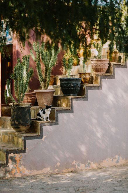 Moroccan Deserts & Mountains – Photo by Let's Frolic Together