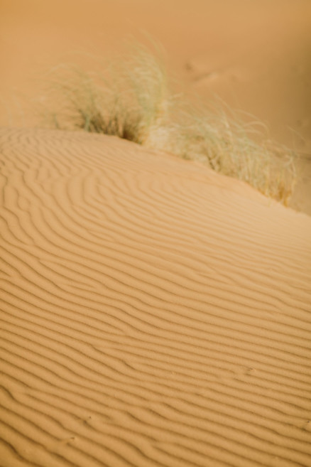 Moroccan Deserts & Mountains – Photo by Let's Frolic Together