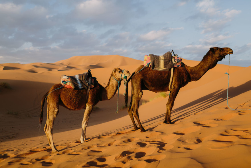 Moroccan Deserts & Mountains – Photo by Let's Frolic Together