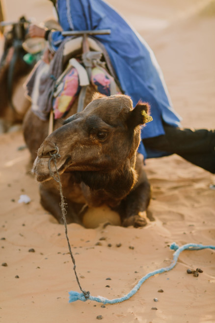 Moroccan Deserts & Mountains – Photo by Let's Frolic Together