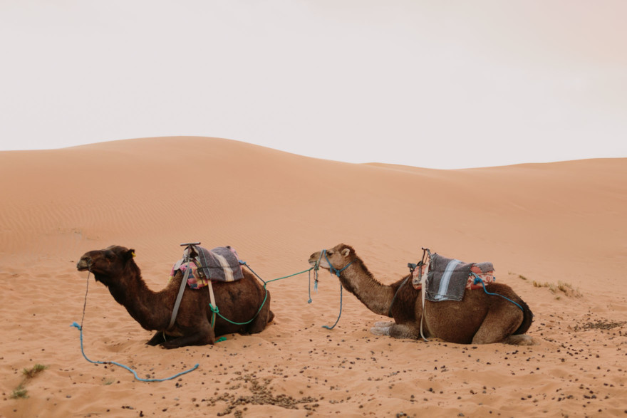 Moroccan Deserts & Mountains – Photo by Let's Frolic Together