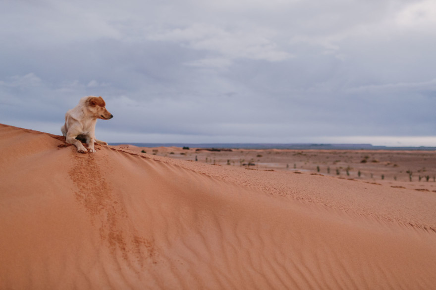 Moroccan Deserts & Mountains – Photo by Let's Frolic Together