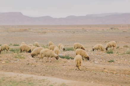 Moroccan Deserts & Mountains – Photo by Let's Frolic Together