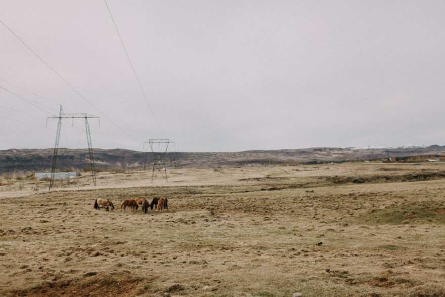 Iceland Tour: Vik, Horses, & The Blue Lagoon – Photo by Let's Frolic Together