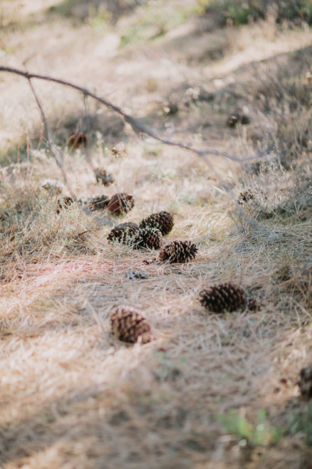 Magical Mountain Engagement – Photo by Let's Frolic Together