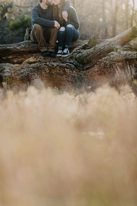 Magical Mountain Engagement – Photo by Let's Frolic Together