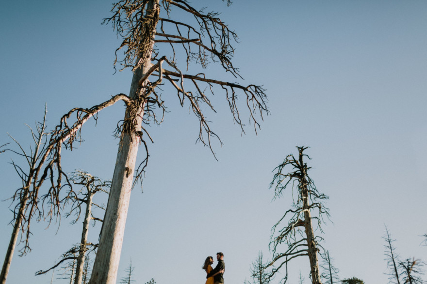 Magical Mountain Engagement – Photo by Let's Frolic Together