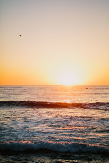 Sun & Surf La Jolla Engagement – Photo by Let's Frolic Together