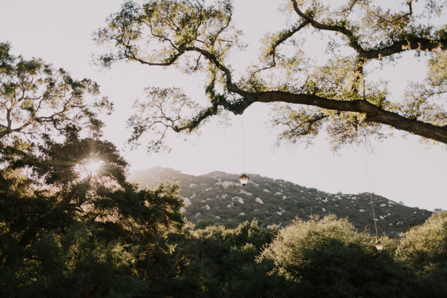 Playful Stonehouse Rustic Wedding – Photo by Let's Frolic Together