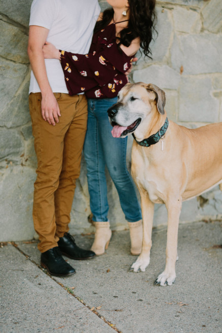 Engagement Under a Painted Sky – Photo by Let's Frolic Together