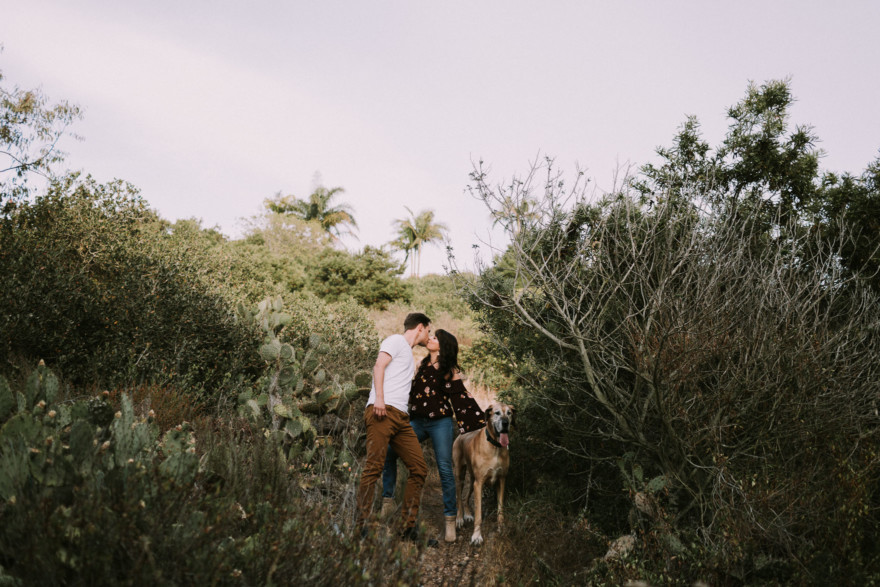 Engagement Under a Painted Sky – Photo by Let's Frolic Together