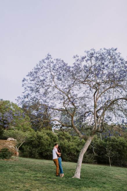 Engagement Under a Painted Sky – Photo by Let's Frolic Together