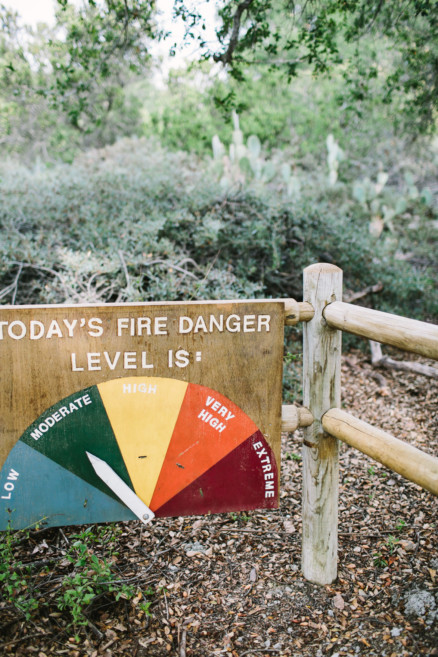 Engaged in the Forest – Photo by Let's Frolic Together