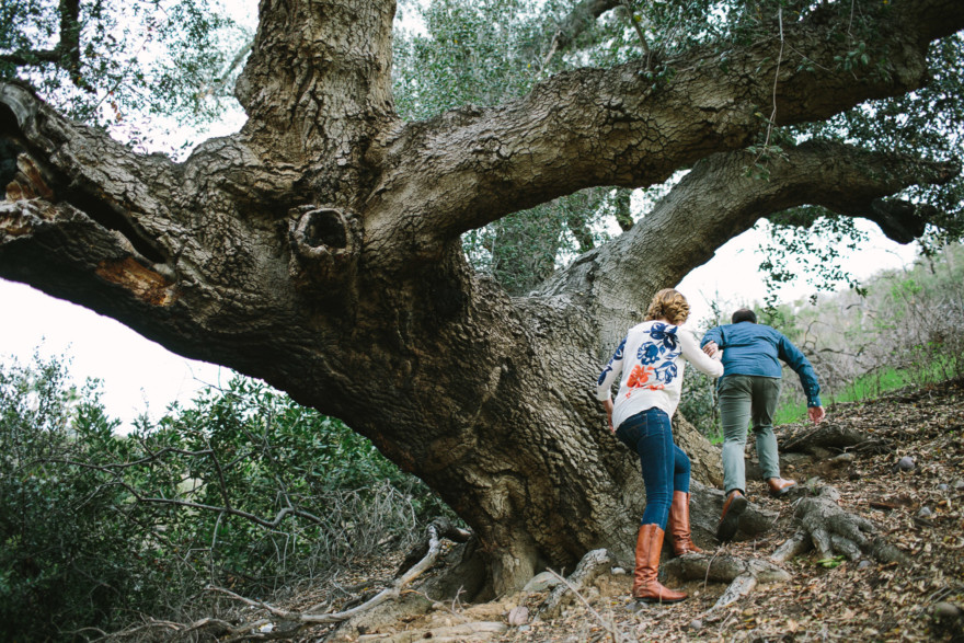 Engaged in the Forest – Photo by Let's Frolic Together