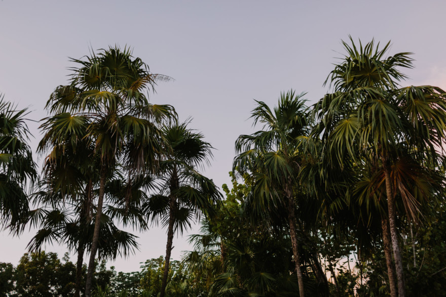 Seaside Color and Life in Tulum – Photo by Let's Frolic Together