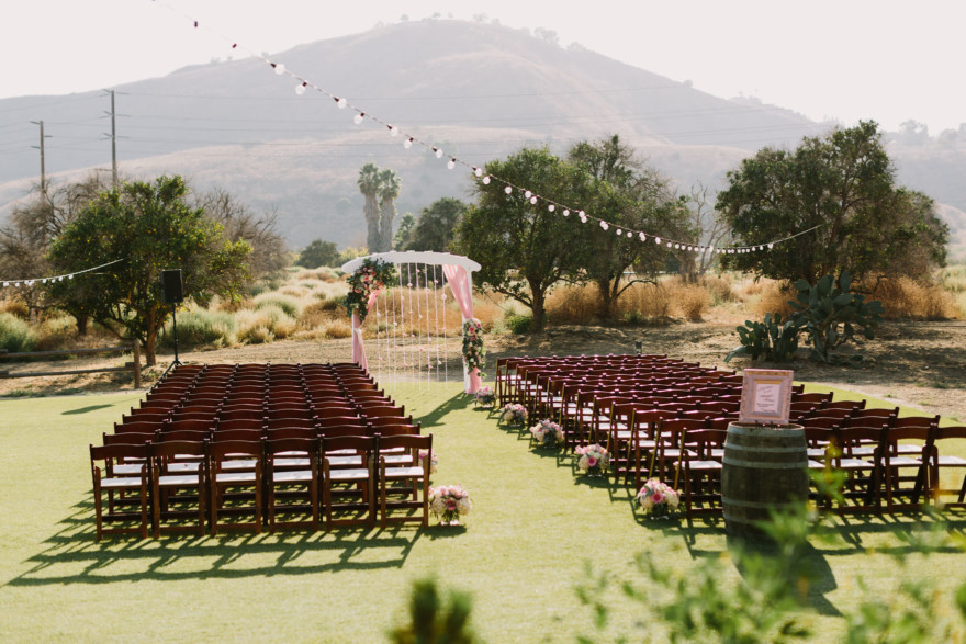 Disney-Inspired Winery Wedding – Photo by Let's Frolic Together