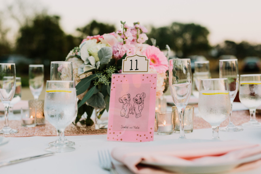 Disney-Inspired Winery Wedding – Photo by Let's Frolic Together