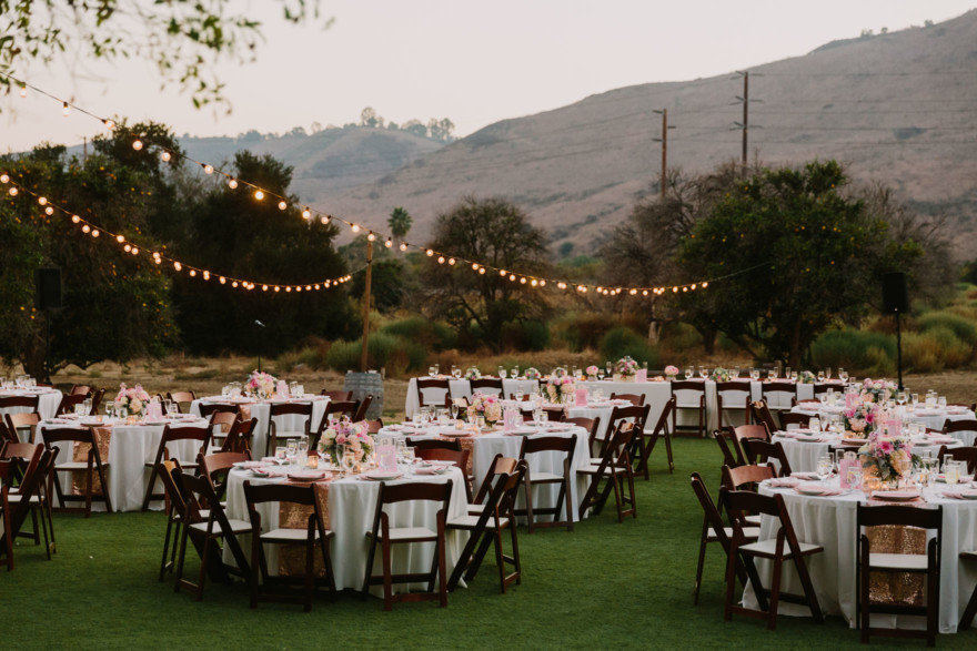 Disney-Inspired Winery Wedding – Photo by Let's Frolic Together