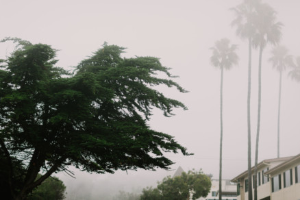 A Foggy Beach Engagement – Photo by Let's Frolic Together