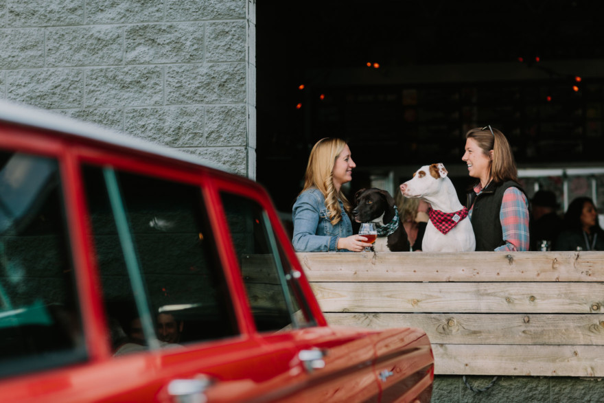 Brewing Up Some Puppy Love – Photo by Let's Frolic Together