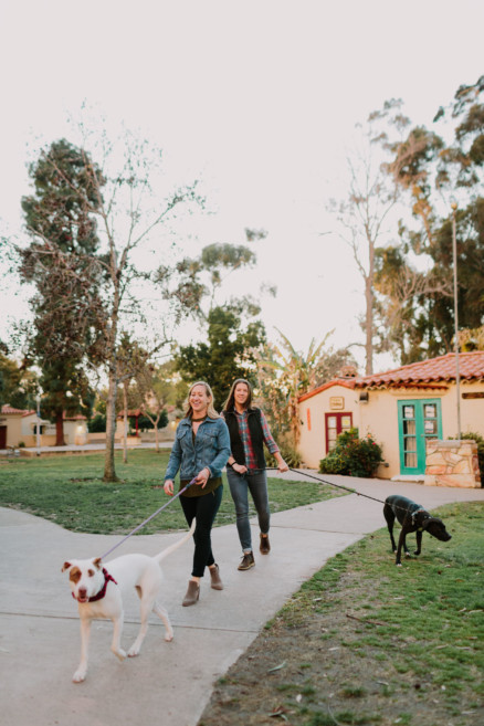 Brewing Up Some Puppy Love – Photo by Let's Frolic Together