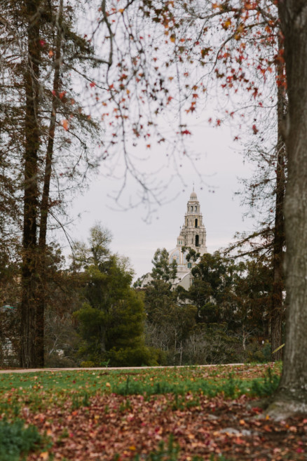A Fur-Filled Engagement Stroll – Photo by Let's Frolic Together
