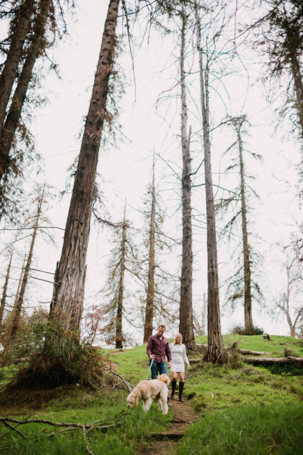 A Fur-Filled Engagement Stroll – Photo by Let's Frolic Together