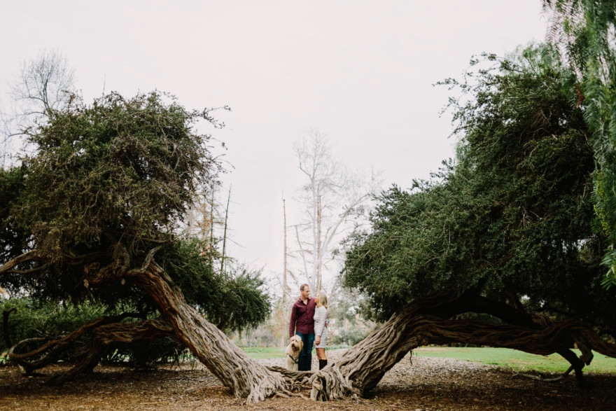A Fur-Filled Engagement Stroll – Photo by Let's Frolic Together